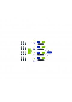 XPT Trunking